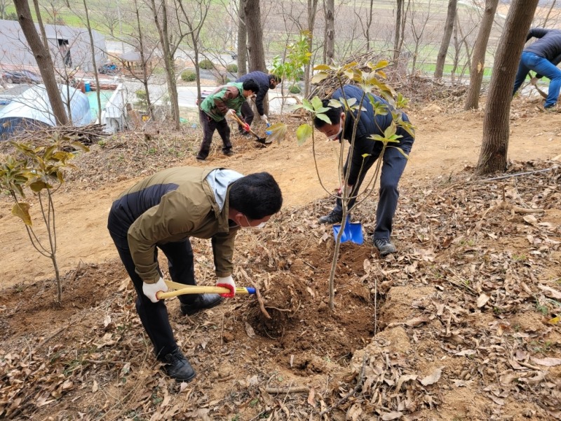 25일 오전 대동 향교 편백 힐링숲 일원에서 열린 편백나무심기 행사 모습 (사진제공 = 함평군)