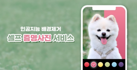 “멍냥이도 비대면” 버찌, 반려동물 증명사진 기능 추가