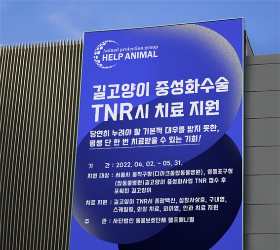 동물보호단체 헬프애니멀, 길고양이 중성화수술 TNR 치료지원사업 진행