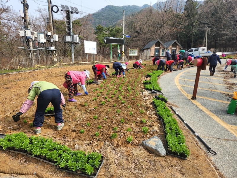 담양군 대전면 봄맞이 꽃심기 행사 모습 (사진제공 = 담양군)