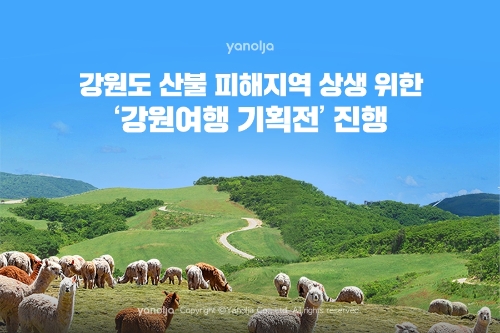강원도 산불 피해지역 상생 위한 ‘강원여행 기획전’ 진행 이미지