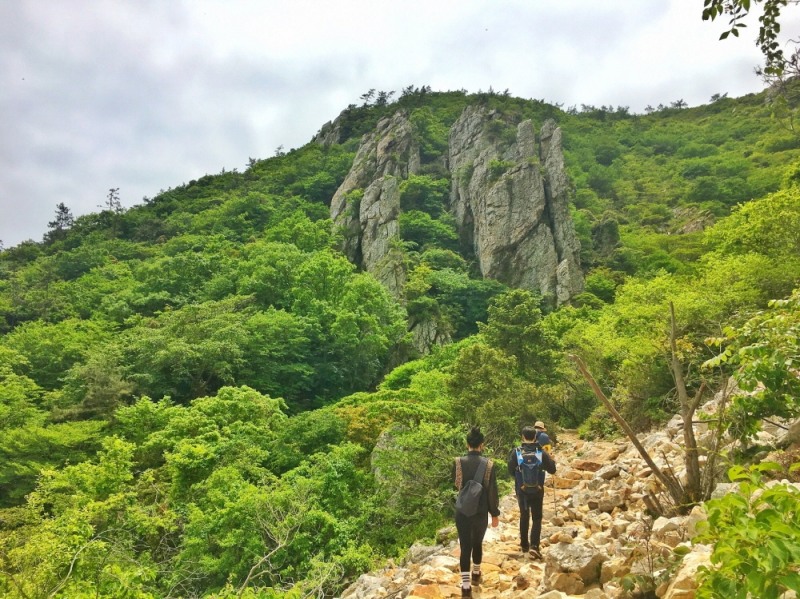 해남군은 새봄을 맞아‘달마고도·남파랑길 봄 따라 걸어 봄’ 걷기 행사를 오는 4월 16일부터 5월 22일까지 진행한다. (사진제공 = 해남군)