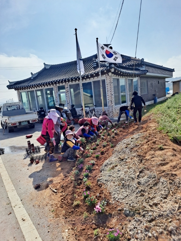 정읍시 삼봉마을 주민 20여 명은 마을 공한지에 봄꽃을 식재했다. (사진제공 = 정읍시)
