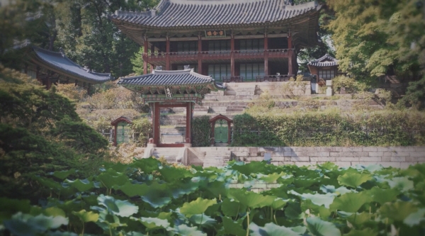 한국문화정보원 문화포털, 자연과 어우러진 유네스코 등재유산 영상 소개