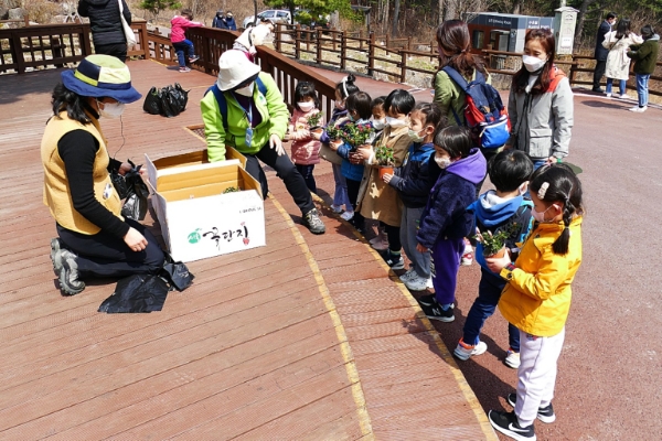 경기도, 잣향기푸른숲 등 3곳서 나무 나눔 행사 개최…"내 손으로 푸른경기 만들어요"