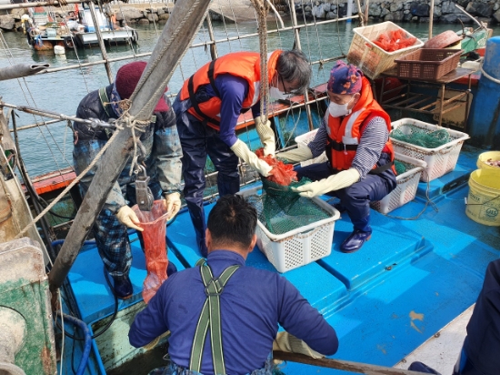 한국어촌어항공단 경남귀어귀촌지원센터 "귀어귀촌 희망자, 어업체험 신청하세요"