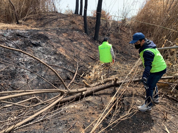 농협 축산경제 임직원들이 6일 강원 동해시 괴란마을 산불피해 농가에서 폐목 정리 작업을 하고 있는 모습.