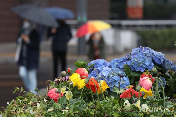지난달 26일 오전 서울 중구 서울광장 인근에서 시민들이 우산을 쓰고 이동하고 있다.