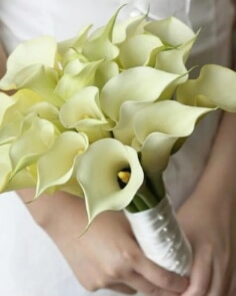 칼라(Calla)는 순수, 환희, 천년의 사랑이라는 꽃말이 있다. 칼라는 꽃 양에 따라 메세지가 다르다. 칼라 5송이는 '아무리 봐도 당신만 한 여자는 없습니다'라는 뜻을 가진다. 꽃다발은 '당신은 나의 행운아 입니다'라는 의미가 있다. / 사진제공=제프리 플라워