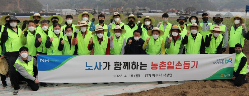 농협중앙회, 파주 마늘농장서 '노사가 함께하는 농촌일손돕기' 실시
