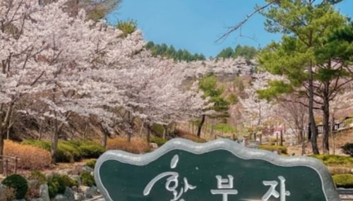 황부자며느리공원 / 사진 = 태백시 인스타그램