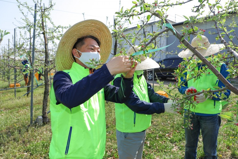 농협, 농번기 맞아 농가 일손돕기 실시