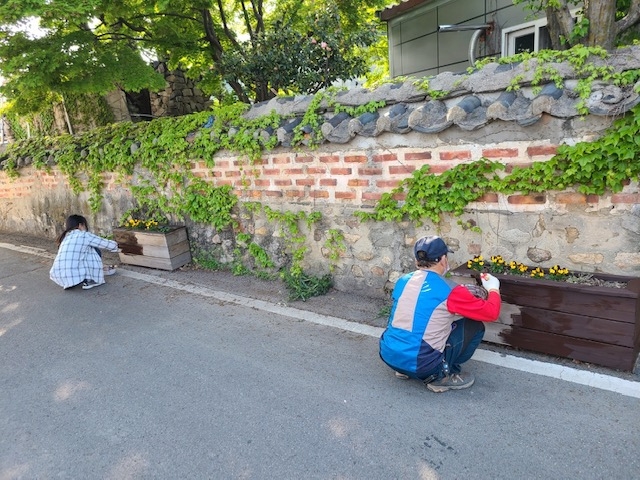 플랜트 화단에 오일스테인 도색작업을 실시하는 모습 (사진제공 = 정읍시)