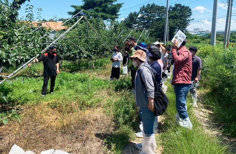 나주시 친환경농업대학 배신품종육성반 현장 실습 (사진제공 = 나주시)