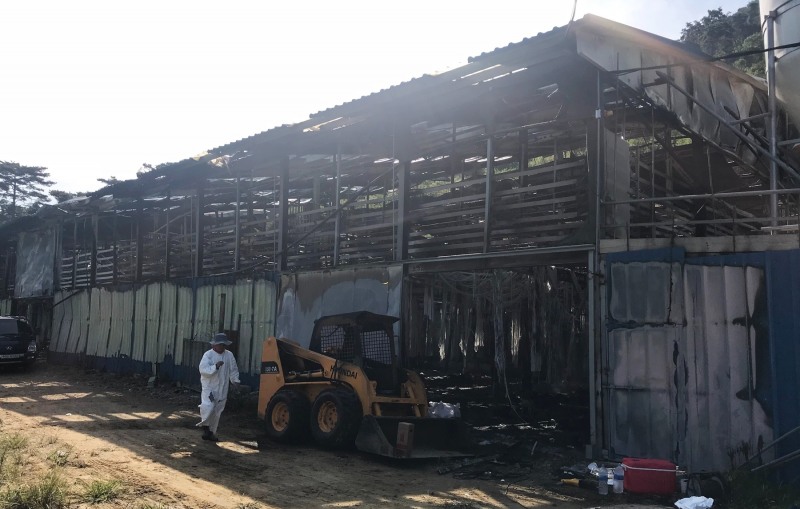 나주시는 축사시설 전기안전진단 사업 추진을 통해 경제적 피해 최소화를 위한 가축재해보험 가입 독려, 화재 예방 안전수칙·점검표 등을 전체 농가에 배부하는 등 축사화재 예방활동에 주력하고 있다. (사진제공 = 나주시)