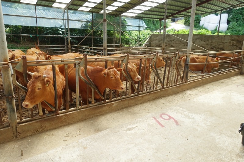 정읍시가 과학기술정보통신부와 연구개발특구진흥재단이 지원하는 ‘2022년도 지역의 미래를 여는 과학기술 프로젝트’에 최종 선정됐다. (사진제공 = 정읍시)