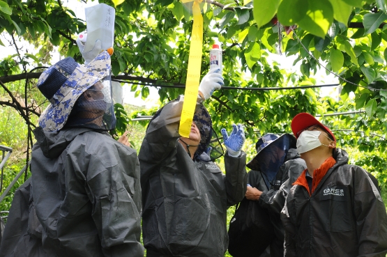 경기도농업기술원, 과수화상병 예방 '총력'