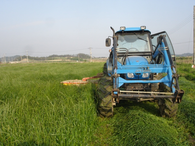 해남군이 조사료 생산기반 확충에 적극 나선다. (사진제공 = 해남군)