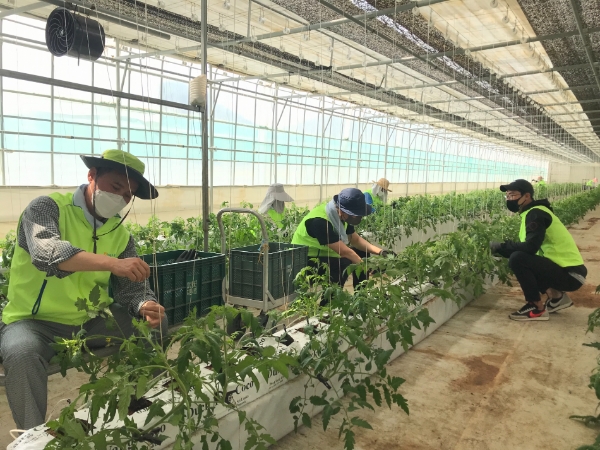 농협중앙회 이용노 IT전략본부장(앞줄 오른쪽에서 여섯번째)이 28일 경기 의왕시 소재 NH통합IT센터에서 열린 'D.N.A(Digital & Agriculture) 스마트리더 3기 발대식'에 참석하여 디지털 혁신연구 과제 발굴과 실행을 주도해 나갈 스마트 리더들과 기념촬영을 하고 있다.