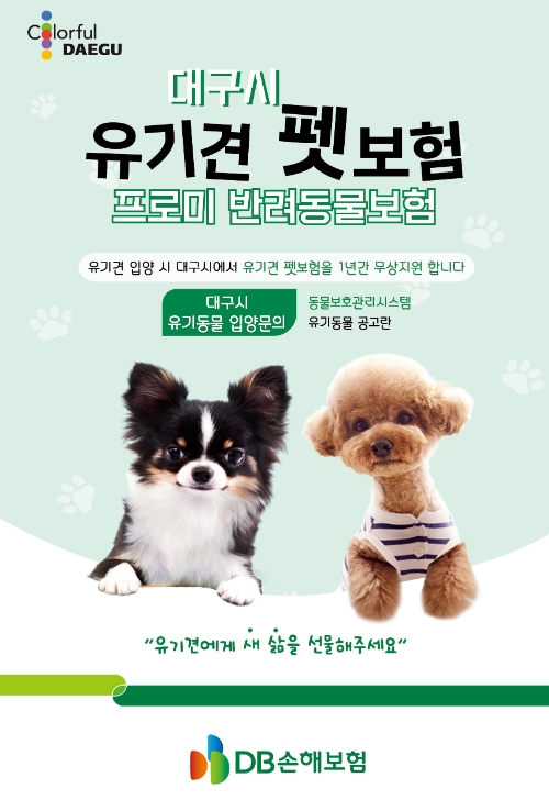 DB손해보험, 대구광역시와 함께 지방 광역시 유기견 펫보험 지원사업 시행
