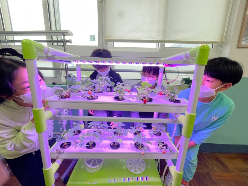 부산해운대교육지원청, ‘일상회복 생태감수성 프로그램 중점학교’ 운영