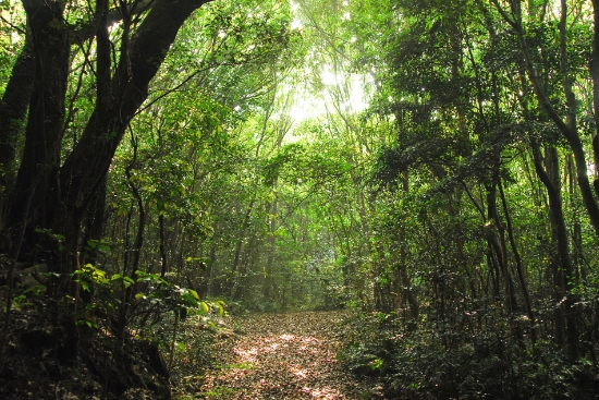 제주패스, 착한 여행자 '그린 앰버서더' 멤버십...기부액 1천만원 돌파