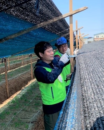 농협 감사위원회사무처, 김포 인삼농가 일손돕기 실시