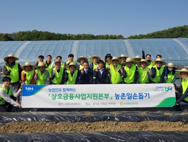 농협 변대근 상호금융사업지원본부장(앞줄 오른쪽 다섯번째)을 비롯한 임직원들이 4일 경기 연천군 고추 농가에서 일손돕기에 앞서 기념사진을 촬영하고 있다.