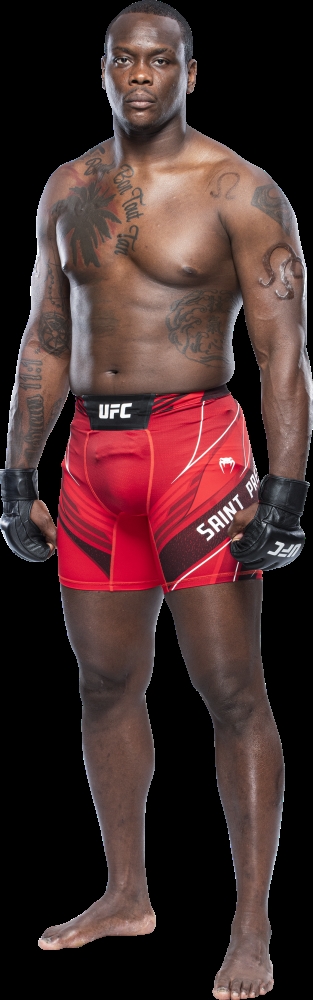 생 프루, 흘러간 스타 싸움서 승리. 8년전에 이어 또 쇼군 눌러-UFC 라이트 헤비급