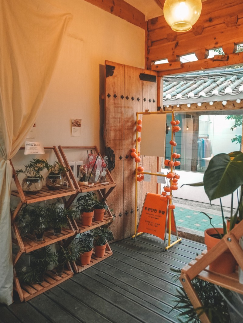 완주 소양면에 위치한 원예 치유농장 드림뜰힐링팜의 분화식물 화분, 수경화분, 카네이션 LED 무드등 만들기 등 현지 농장에서 체험해볼 수 있는 원예 치유프로그램 키트도 판매 중이다. / 사진=이지앤북스