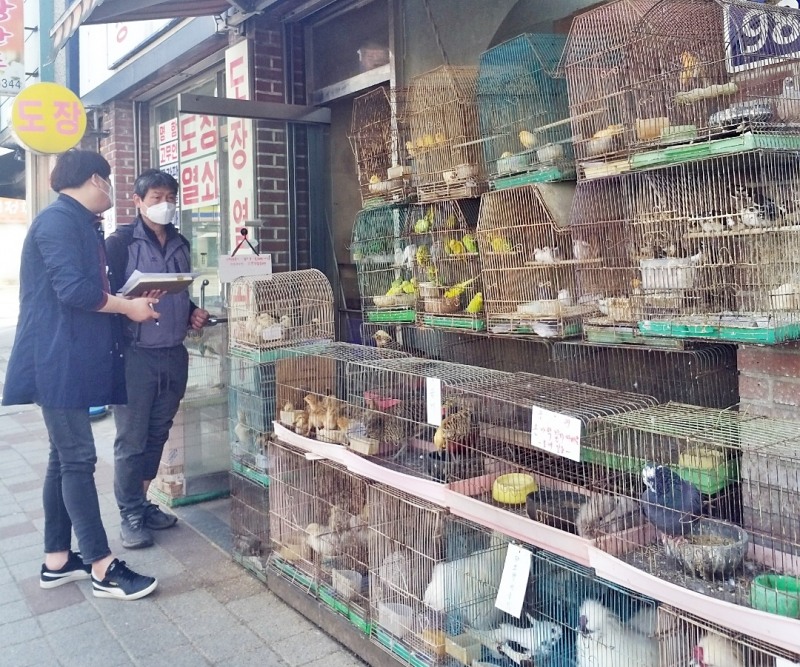 정읍시는 동물보호법을 개정으로 성숙한 반려동물 문화를 정착하기로 했다. (사진제공 = 정읍시