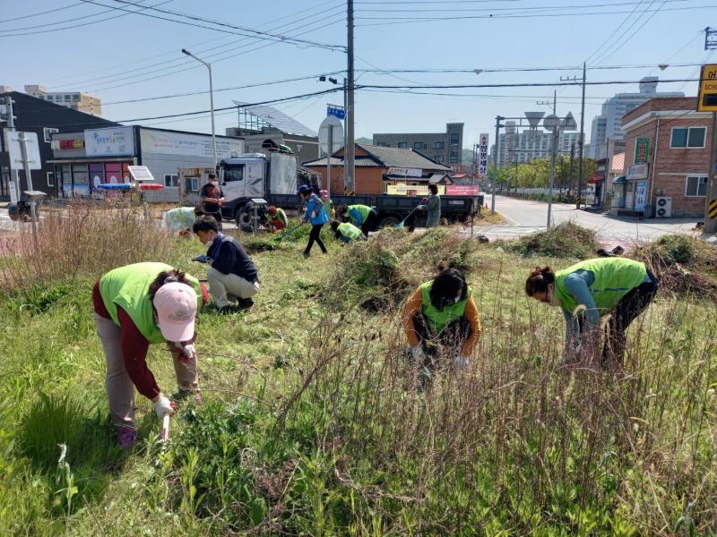 지난 9일 시실한 환경정비 봉사활동 모습 (사진제공 = 군산시)