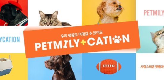 티몬, 펫밀리케이션