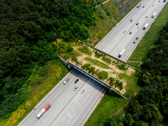 호남고속도로 원수육교 인근 생태통로