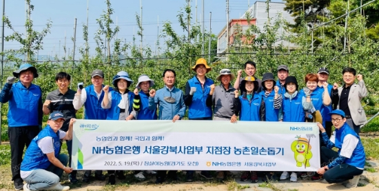 NH농협은행 강태영 서울강북사업본부장(사진 뒷줄 왼쪽 일곱번째)과 지점장들이 19일 포천시 창수면 오가리 소재 사과 농가를 방문해 사과 꽃따기와 농가 일대 자연 정화 활동 등 일손돕기에 구슬땀을 흘렸다.