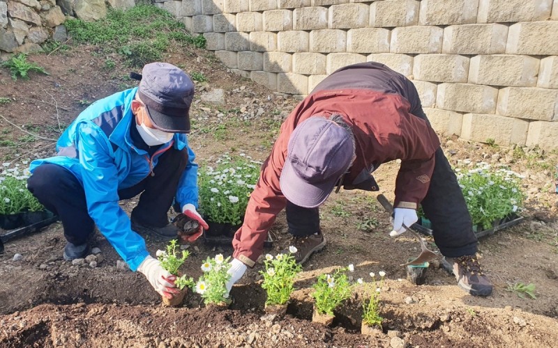 나주시 치매안심센터 ‘미니케어팜’ 프로그램 참여 어르신들이 텃밭을 가꾸고 있다. (사진제공 = 나주시)