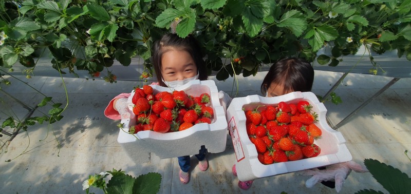 로컬푸드 직매장에서 체험활동하고 있는 모습 (사진제공 = 해남군)