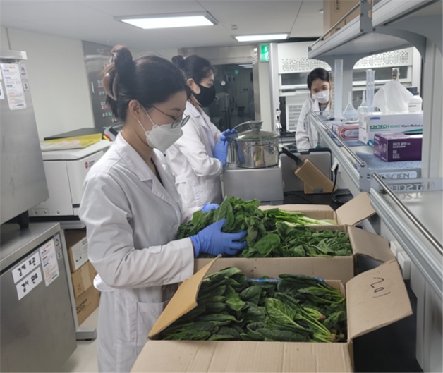 학교급식 식재료 안전성 검사 모습 (사진제공 = 광주광역시)