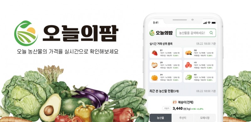 데이터포털이 서비스 중인 신선 농산물 실시간 매칭플랫폼인 '오늘의팜' 이미지. 자료=(주)데이터포털