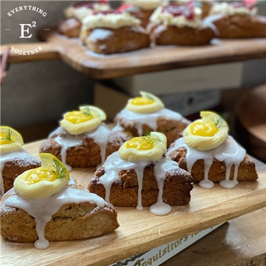 애니콩, 내달 대구에 반려동물 간식 배달 전문 매장 오픈