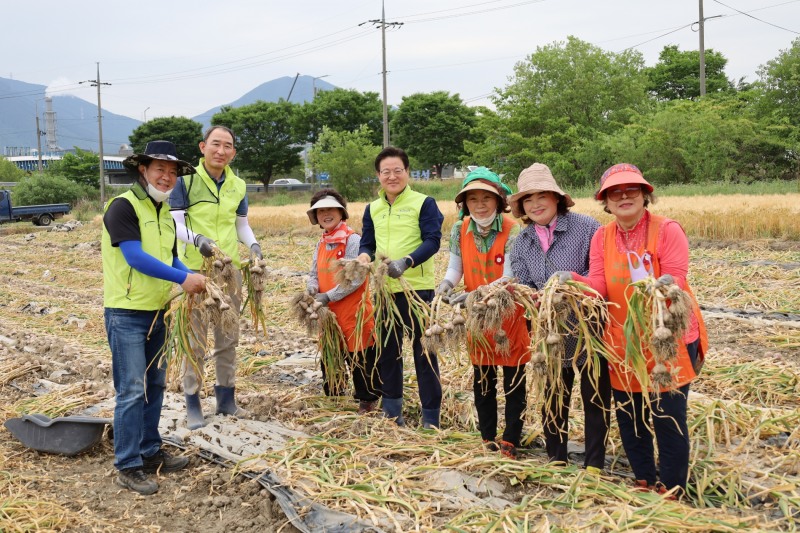 농협중앙회 이재식 부회장(왼쪽에서 네 번째)은 마늘·양파 수확기를 맞은 대구 달성군 일대를 찾아 노사가 한마음으로 부족한 일손을 돕고 농가 가사부담 경감을 위한 중식지원 활동을 펼쳤다./사진 제공 = 농협중앙회