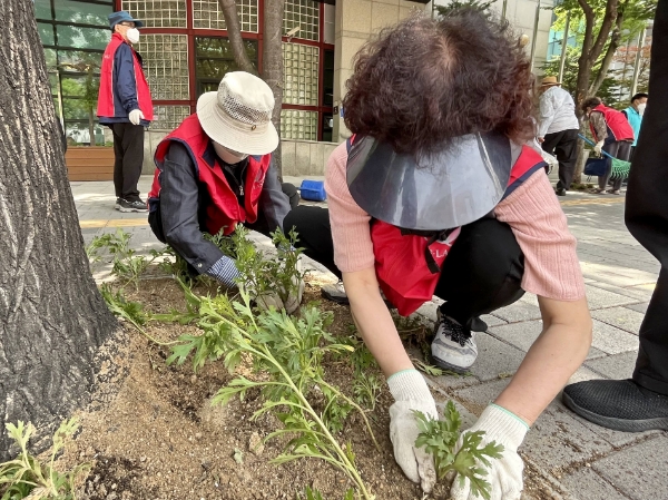 시립마포노인종합복지관 WE CAN 시니어봉사단, ‘나무돌보미 봉사대’ 활동 진행