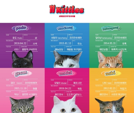 11키티즈 메인멤버 소개