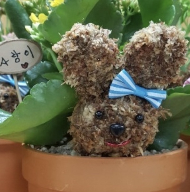 원예 토피어리 체험 (사진제공 = 담양군)