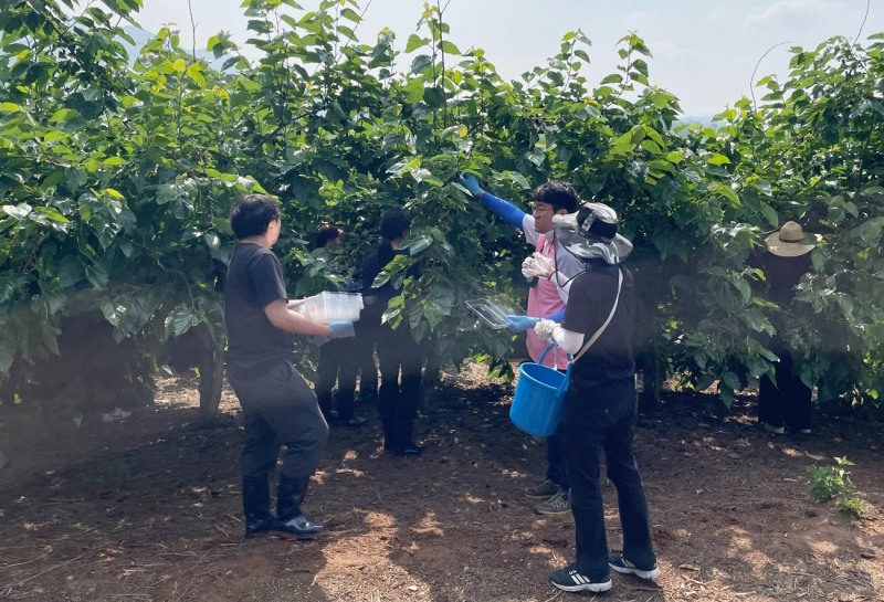지난 9일 실시 된 농가 방문 일손 돕기 모습 (사진제공 = 정읍시)
