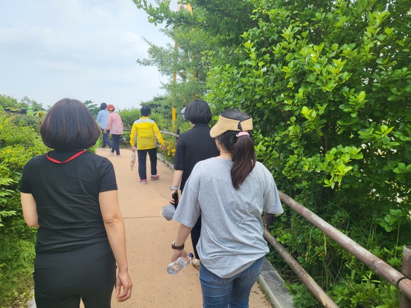 주민들이 걷기 챌린지에 참여하고 있는 모습 (사진제공 = 함평군)