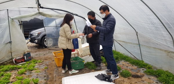 비트 생산농가 현장 컨설팅 모습