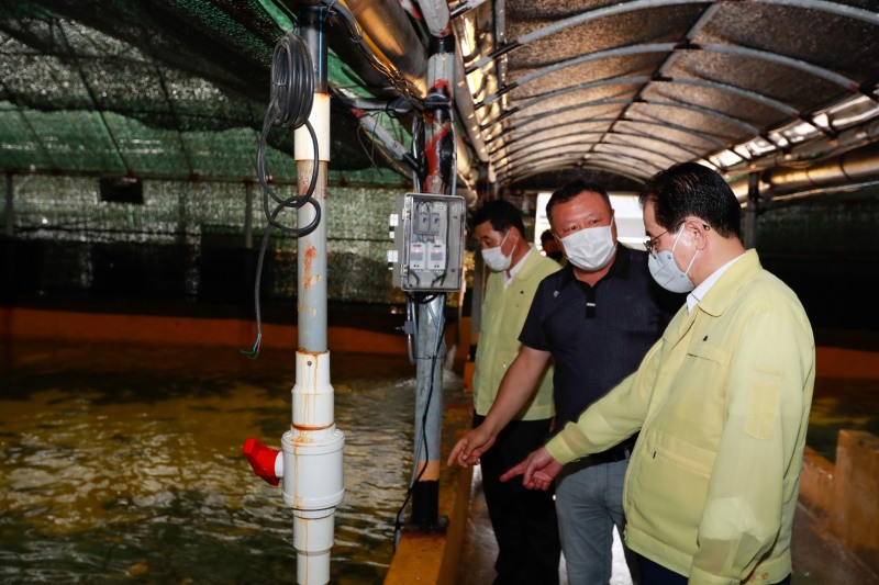 지난해 실시한 고수온 대비 양식장 현장 점검 (사진제공 = 완도군)