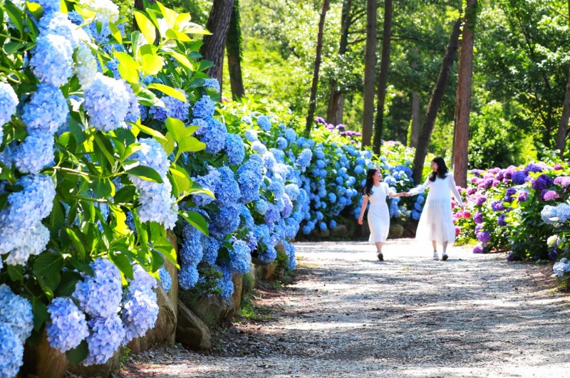포레스트 수목원 (사진제공 = 해남군)