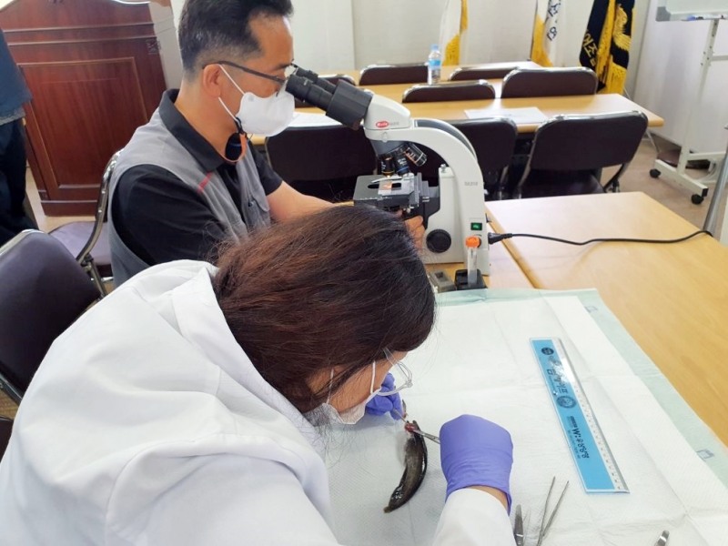 정읍시가 지역 내 양식장 현장에서 수산생물 질병으로 인한 피해를 예방하고 질병 확산을 방지하기 위해 수산생물 관리에 나섰다. (사진제공 = 정읍시)